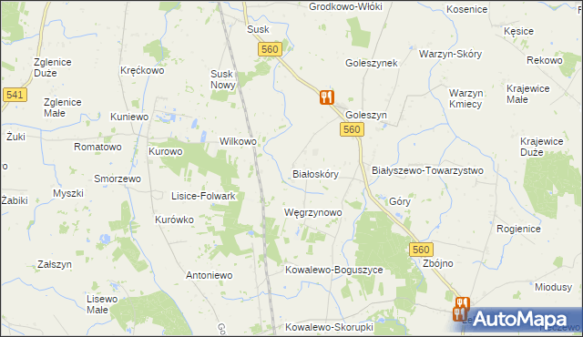 mapa Białoskóry gmina Sierpc, Białoskóry gmina Sierpc na mapie Targeo