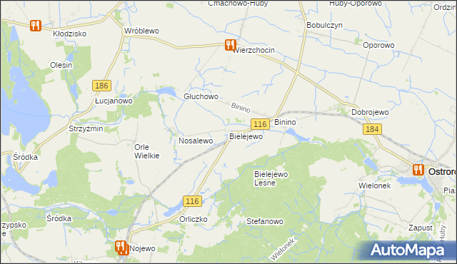 mapa Bielejewo gmina Ostroróg, Bielejewo gmina Ostroróg na mapie Targeo