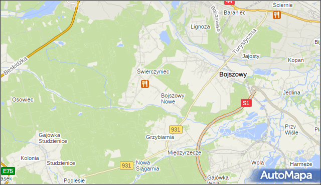 mapa Bojszowy Nowe, Bojszowy Nowe na mapie Targeo