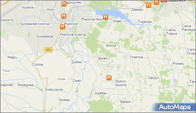 mapa Borek gmina Godziesze Wielkie, Borek gmina Godziesze Wielkie na mapie Targeo