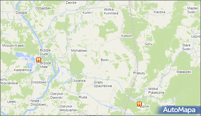 mapa Borki gmina Goworowo, Borki gmina Goworowo na mapie Targeo