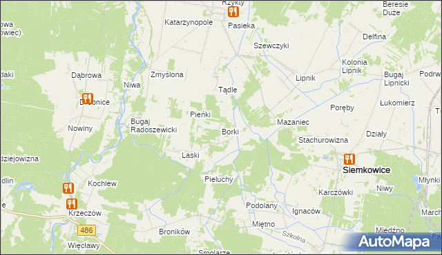 mapa Borki gmina Siemkowice, Borki gmina Siemkowice na mapie Targeo