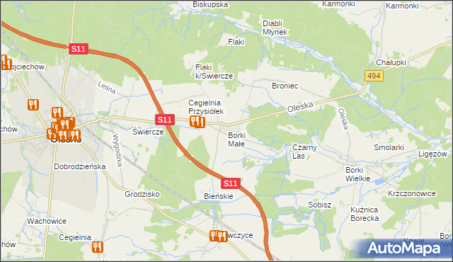 mapa Borki Małe gmina Olesno, Borki Małe gmina Olesno na mapie Targeo