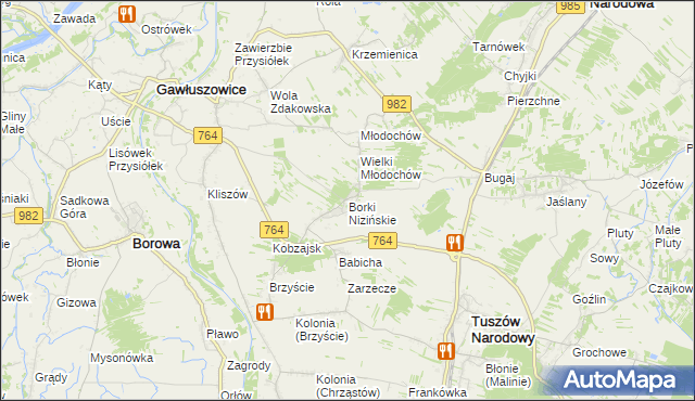 mapa Borki Nizińskie, Borki Nizińskie na mapie Targeo