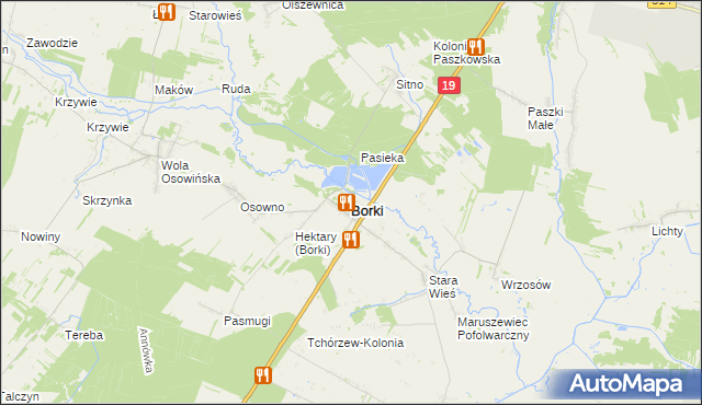 mapa Borki powiat radzyński, Borki powiat radzyński na mapie Targeo