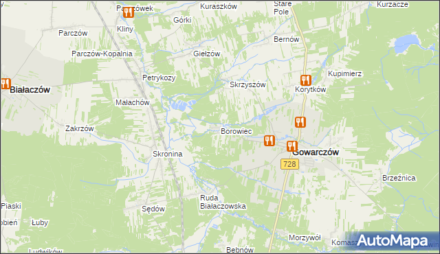 mapa Borowiec gmina Gowarczów, Borowiec gmina Gowarczów na mapie Targeo