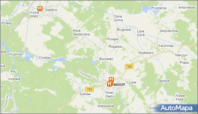 mapa Borowiec gmina Krasocin, Borowiec gmina Krasocin na mapie Targeo