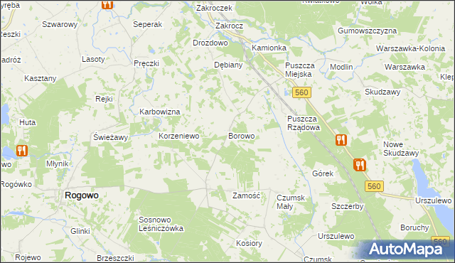 mapa Borowo gmina Rogowo, Borowo gmina Rogowo na mapie Targeo