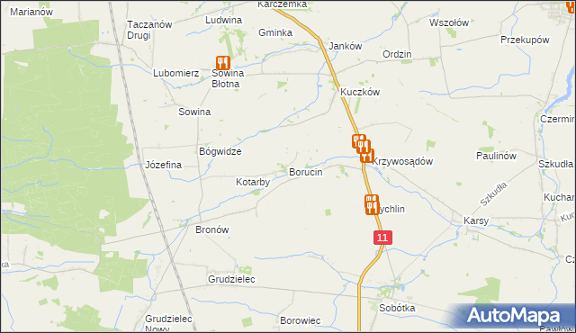 mapa Borucin gmina Pleszew, Borucin gmina Pleszew na mapie Targeo