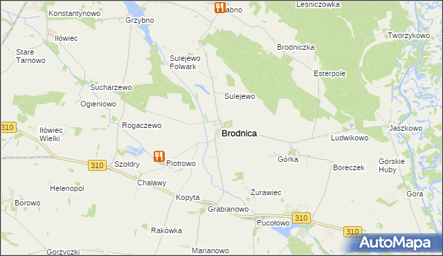 mapa Brodnica powiat śremski, Brodnica powiat śremski na mapie Targeo