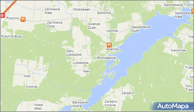 mapa Bronisławów gmina Wolbórz, Bronisławów gmina Wolbórz na mapie Targeo
