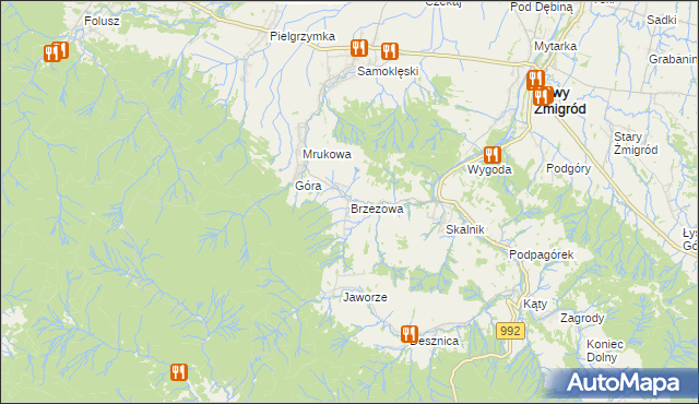 mapa Brzezowa gmina Nowy Żmigród, Brzezowa gmina Nowy Żmigród na mapie Targeo