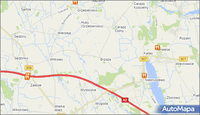 mapa Brzoza gmina Duszniki, Brzoza gmina Duszniki na mapie Targeo