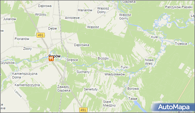 mapa Brzózki gmina Popów, Brzózki gmina Popów na mapie Targeo