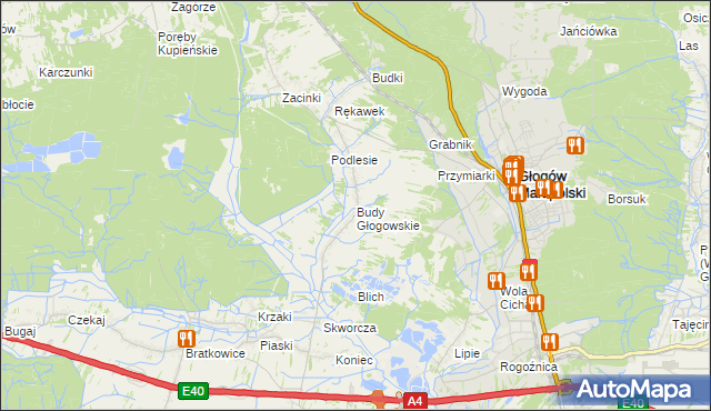 mapa Budy Głogowskie, Budy Głogowskie na mapie Targeo