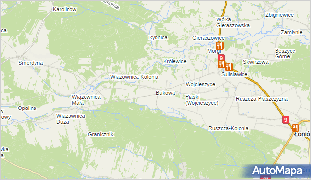 mapa Bukowa gmina Osiek, Bukowa gmina Osiek na mapie Targeo