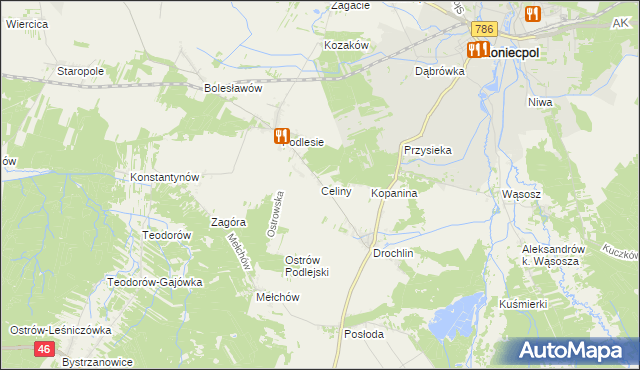 mapa Celiny gmina Lelów, Celiny gmina Lelów na mapie Targeo