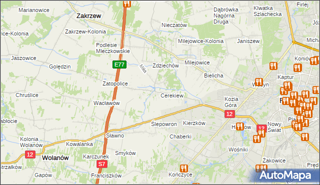 mapa Cerekiew gmina Zakrzew, Cerekiew gmina Zakrzew na mapie Targeo
