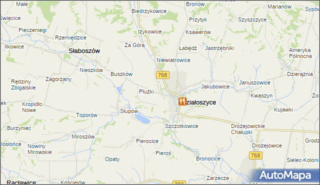 mapa Chmielów gmina Działoszyce, Chmielów gmina Działoszyce na mapie Targeo