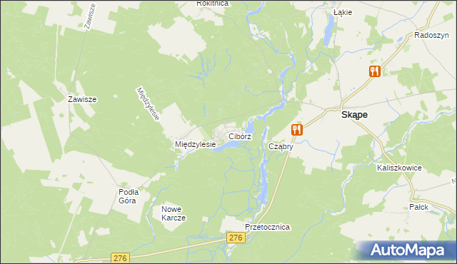 mapa Cibórz gmina Skąpe, Cibórz gmina Skąpe na mapie Targeo