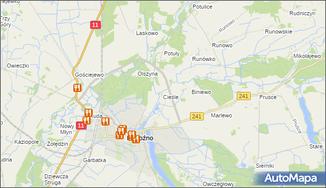 mapa Cieśle gmina Rogoźno, Cieśle gmina Rogoźno na mapie Targeo