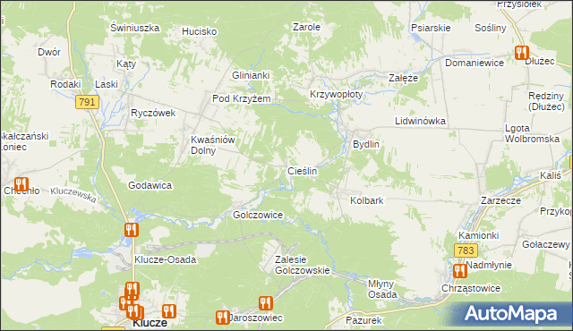 mapa Cieślin gmina Klucze, Cieślin gmina Klucze na mapie Targeo