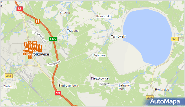 mapa Dąbrowa gmina Polkowice, Dąbrowa gmina Polkowice na mapie Targeo
