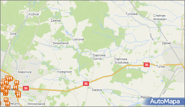 mapa Dąbrowa Górna gmina Lubin, Dąbrowa Górna gmina Lubin na mapie Targeo