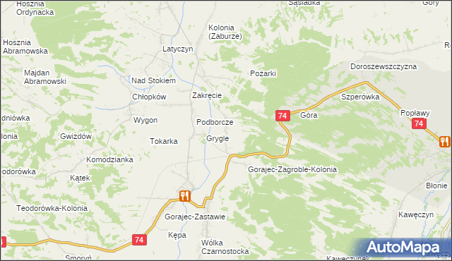 mapa Dzielce, Dzielce na mapie Targeo