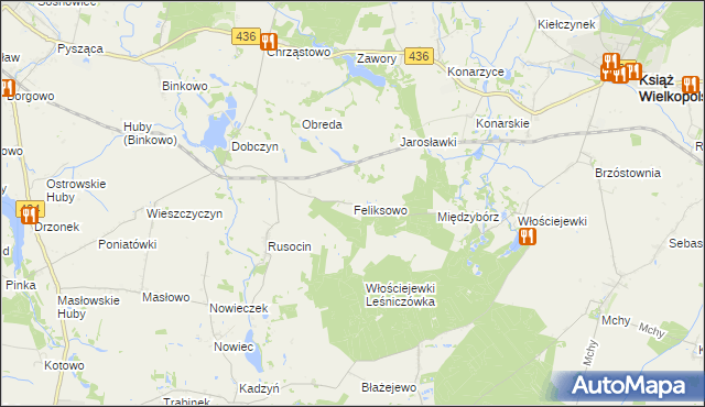 mapa Feliksowo gmina Książ Wielkopolski, Feliksowo gmina Książ Wielkopolski na mapie Targeo