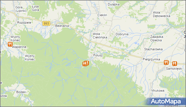 mapa Folusz gmina Dębowiec, Folusz gmina Dębowiec na mapie Targeo