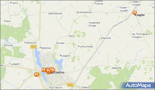 mapa Frydrychowo gmina Ryńsk, Frydrychowo gmina Ryńsk na mapie Targeo