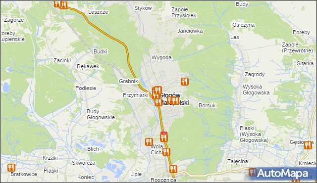 mapa Głogów Małopolski, Głogów Małopolski na mapie Targeo