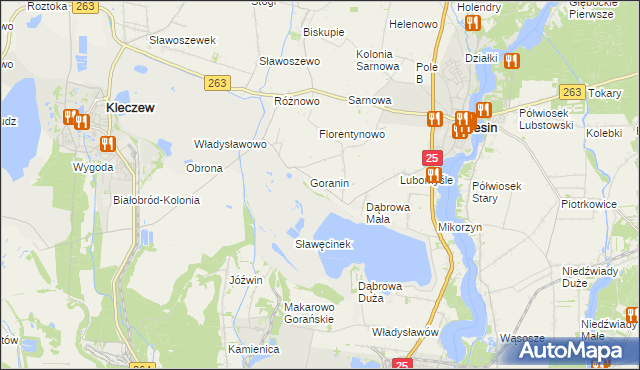 mapa Goraninek gmina Ślesin, Goraninek gmina Ślesin na mapie Targeo