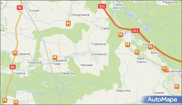 mapa Gronowice gmina Lasowice Wielkie, Gronowice gmina Lasowice Wielkie na mapie Targeo