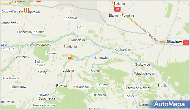 mapa Jankowice-Kolonia gmina Jeżów, Jankowice-Kolonia gmina Jeżów na mapie Targeo