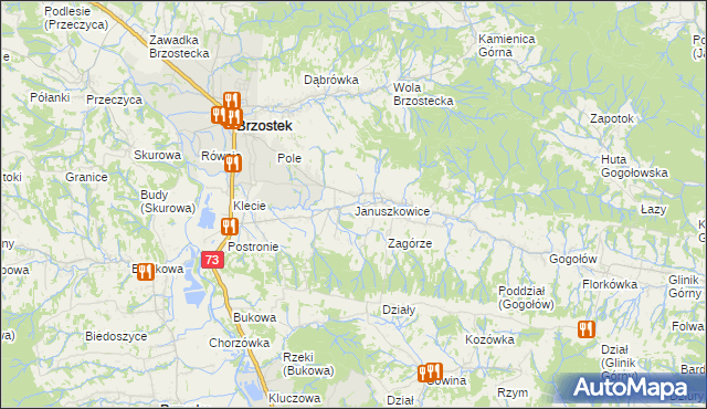 mapa Januszkowice gmina Brzostek, Januszkowice gmina Brzostek na mapie Targeo