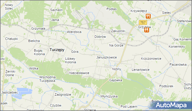 mapa Januszkowice gmina Tuczępy, Januszkowice gmina Tuczępy na mapie Targeo