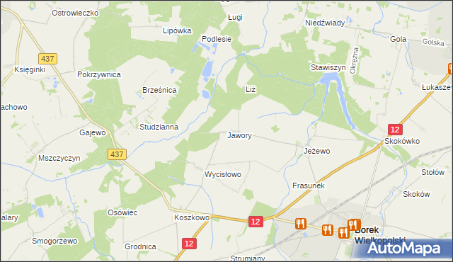mapa Jawory gmina Borek Wielkopolski, Jawory gmina Borek Wielkopolski na mapie Targeo