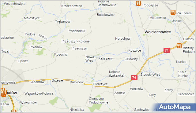 mapa Kaliszany gmina Wojciechowice, Kaliszany gmina Wojciechowice na mapie Targeo