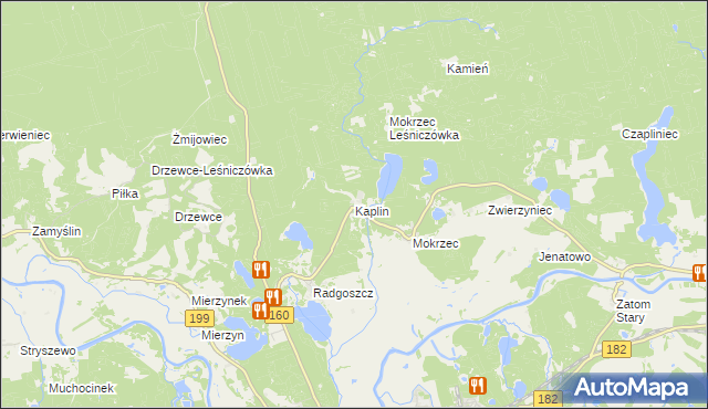 mapa Kaplin gmina Międzychód, Kaplin gmina Międzychód na mapie Targeo