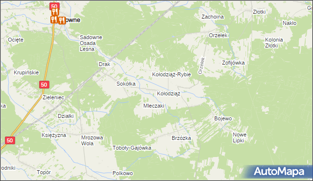 mapa Kołodziąż gmina Sadowne, Kołodziąż gmina Sadowne na mapie Targeo