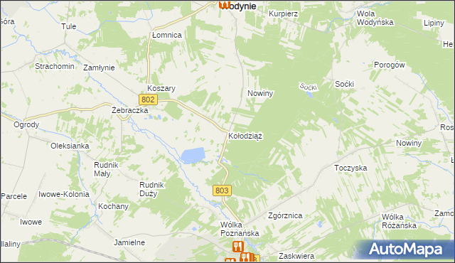 mapa Kołodziąż gmina Wodynie, Kołodziąż gmina Wodynie na mapie Targeo