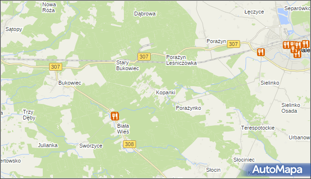 mapa Kopanki gmina Opalenica, Kopanki gmina Opalenica na mapie Targeo