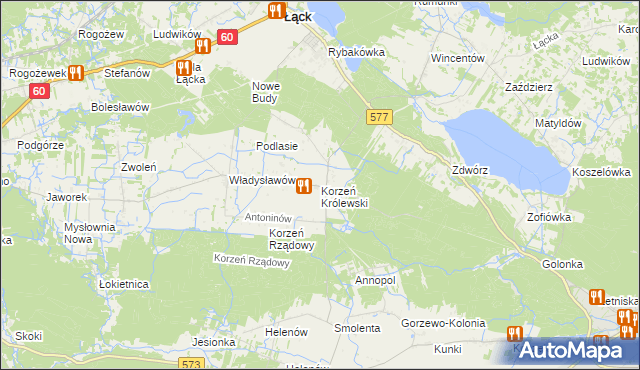 mapa Korzeń Królewski, Korzeń Królewski na mapie Targeo