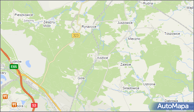 mapa Koźlice gmina Rudna, Koźlice gmina Rudna na mapie Targeo