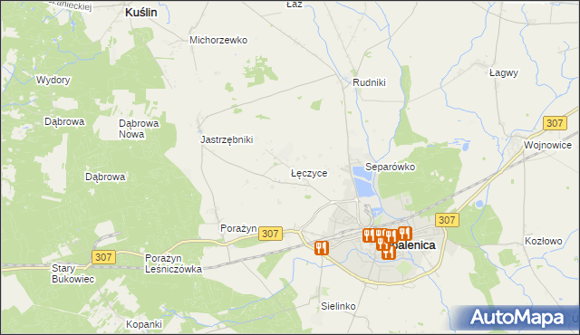 mapa Łęczyce gmina Opalenica, Łęczyce gmina Opalenica na mapie Targeo