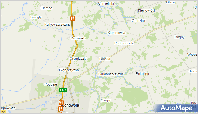 mapa Leśniki gmina Suchowola, Leśniki gmina Suchowola na mapie Targeo