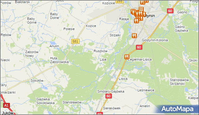 mapa Lipa gmina Gostynin, Lipa gmina Gostynin na mapie Targeo
