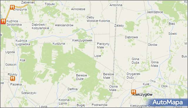 mapa Lipie gmina Kiełczygłów, Lipie gmina Kiełczygłów na mapie Targeo